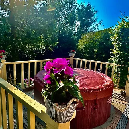 Rose Cottage, Cosy South District Retreat 阿尔弗斯顿
