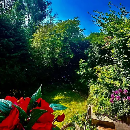 Rose Cottage, Cosy South District Retreat 度假居